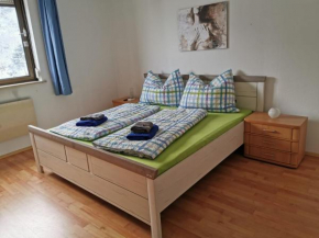 Отель Ferienwohnung - Apartment Pichlarn Irdning  Айген